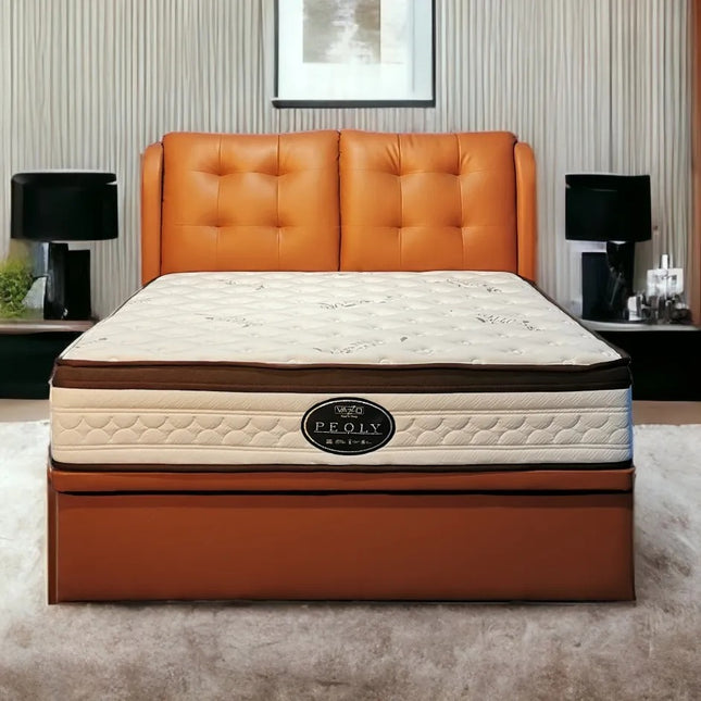 Delani Storage Bedframe