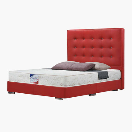 Ivan Designer Bedframe