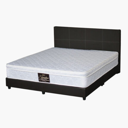 black panel style upholstered bed frame with a new mattress