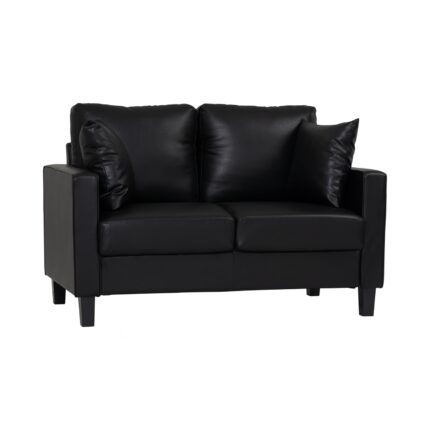 2-seater Black leather sofa with 2 black pillows